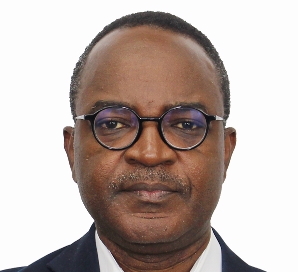 Gbemi Adelekan (2010 - 2023)